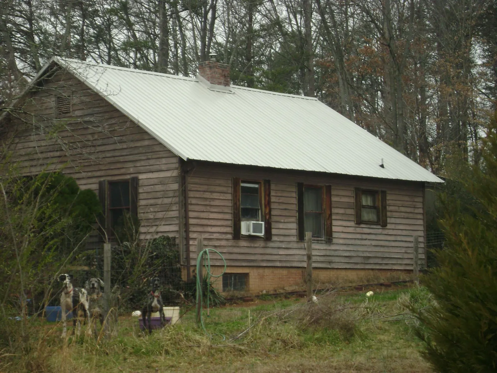 White metal roof on an old wood sided farmhouse, from a Asphalt Shingle Roof Repair job in Markham